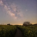 은하수농장 이미지