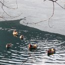 속리산 낙석사고 현장을 보게된 산행(24.2.18) 이미지