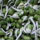 녹두한의원 이미지