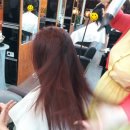 신정칼라 - 강서구 | 신정칼라