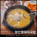 부산왕돼지국밥 앞 | 양산왕돼지국밥 : 부산 해운대 로컬 돼지국밥 맛집 웨이팅 후기