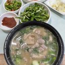 녹수한의원 | [맛집] 거제 핫플 국밥집 충남식당 솔직후기