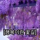 옹달샘의 교훈 ! // 성숙한 삶 //행복이란 꽃길 // 이미지