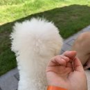 울산광역시 반려동물 문화센터 이미지