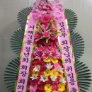 베니키아호텔플라워 이미지