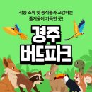 버드펫