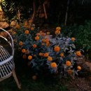 맨도롱하우스 민박 이미지