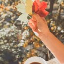 칼림바와 우쿨렐레 이미지