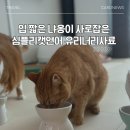 정기사료 | 고양이 비뇨기&amp;헤어볼 사료) 연어사료 고양이사료 건강한고양아시료 추천