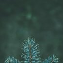 안녕하세요한의원 이미지