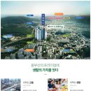 유림-53 이미지