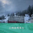 스머프하우스 | 강원도속초펜션 스머프하우스 바다와 자연을 만끽할 수 있는 최적의 장소