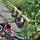 향일암로 이미지