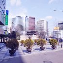 자몽 안경원 이미지