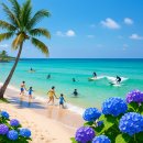 6월 제주 해변·물놀이 액티비티 추천 BEST 7 – 청량한 바다에서 즐기는 초여름 힐링 코스