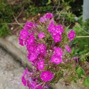 신도3리 이미지