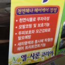 엘샤론코리아