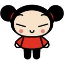 주짓수제트 | 2026년 6월 대천 여행 (혜선투어 이용)