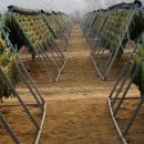 펀치볼민박 이미지