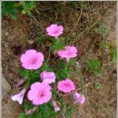 방축마을 이미지