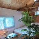 돌담너머바다 | 제주도 독채펜션 감성숙소 낭만그자체 돌담너머집 돌담점 후기