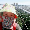 인복농장 이미지