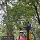 통영 이순신공원 망일봉,서피랑(25-10-09) 이미지