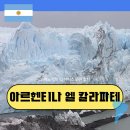 엘투어여행 | 남미 자유 여행 아르헨티나 파타고니아 엘 칼라파테 모레노 빙하 빅 아이스 투어 후기