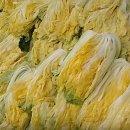 필봉농장 이미지