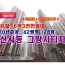 시티 자이 Daum카페