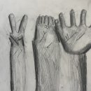 보