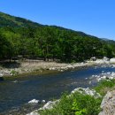 솔방울 펜션 이미지