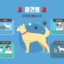 대곡동물병원 이미지
