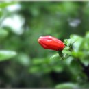 청송민물 이미지