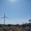 바람개비 이미지