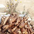 적덕농장 이미지