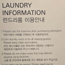 루프스테이