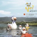 낙동강오리알 이미지