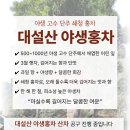 2026년 야생홍차(대설산) 공구 - 이미지