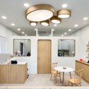 온니애견미용 | [공지] 동래애견미용 찾는다면? 온니애견미용 봄맞이 이벤트 시작!