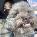 견상낙원 이미지