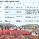 곡성-263 이미지