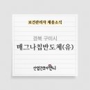 매그나칩반도체(유)