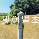 성모길 이미지