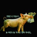 하얀민들레 이미지