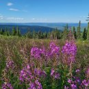 금광식당 이미지