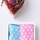 풍기인견 이미지