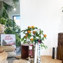 도그랑땡 이미지