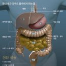 제2장 지역사회복지의 의의 (지역사회복지론) 이미지