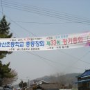 송산초등학교 33회 총동창회 이미지